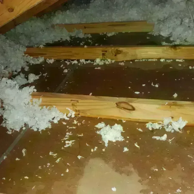 Attic Water Damage in Pittsburg, CA