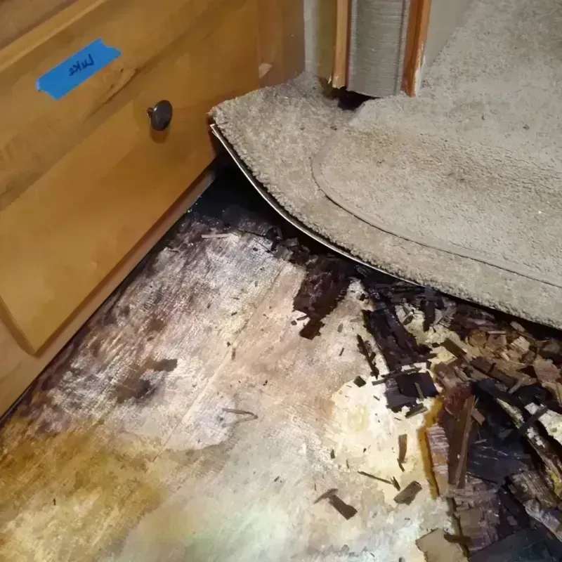 Wood Floor Water Damage in Pittsburg, CA